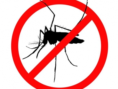 Un buon rimedio contro le fastidiosissime zanzare!!!!