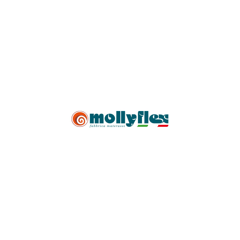 The company offices of Mollyflex
