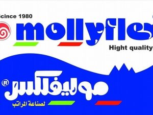 Mollyflex egitto 355 600x450 1