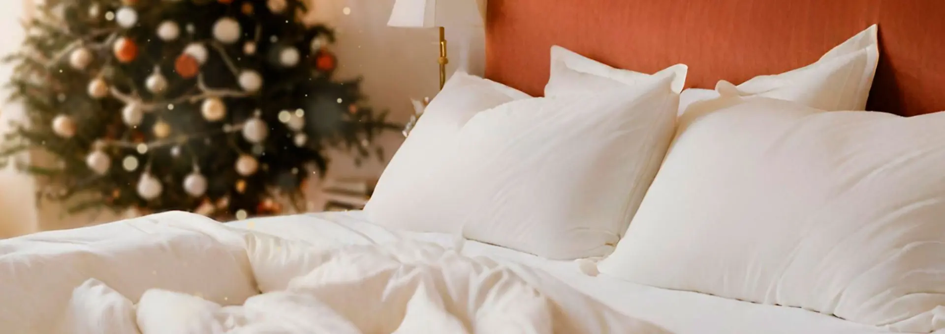 Un Natale tutto Mollyflex