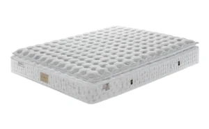 Brixia premium 1
